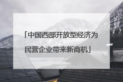 中国西部开放型经济为民营企业带来新商机