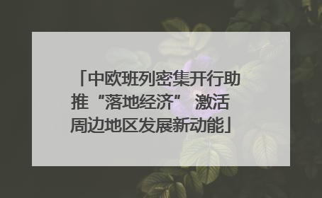 中欧班列密集开行助推“落地经济” 激活周边地区发展新动能