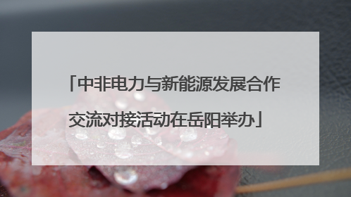 中非电力与新能源发展合作交流对接活动在岳阳举办