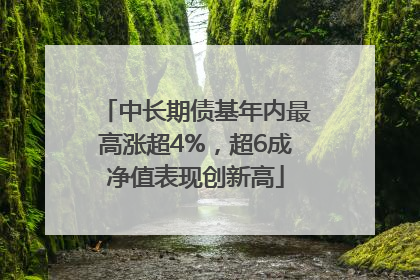 中长期债基年内最高涨超4%，超6成净值表现创新高