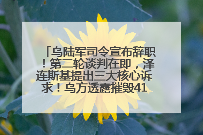 乌陆军司令宣布辞职！第二轮谈判在即，泽连斯基提出三大核心诉求！乌方透露摧毁41架俄战略轰炸机