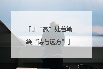 于“微”处着笔 绘“诗与远方”