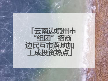 云南边境州市“组团”招商 边民互市落地加工成投资热点