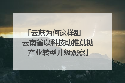云蔗为何这样甜——云南省以科技助推蔗糖产业转型升级观察