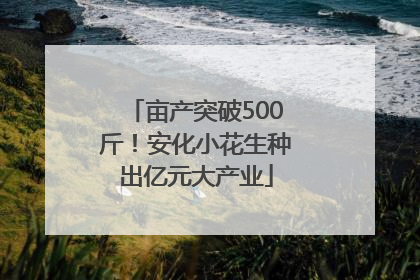 亩产突破500斤！安化小花生种出亿元大产业