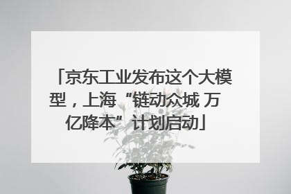 京东工业发布这个大模型，上海“链动众城 万亿降本”计划启动