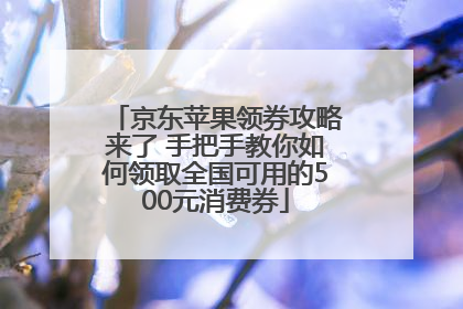 京东苹果领券攻略来了 手把手教你如何领取全国可用的500元消费券