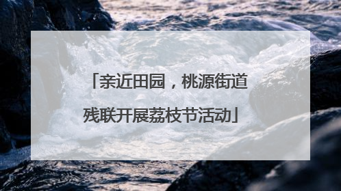 亲近田园，桃源街道残联开展荔枝节活动