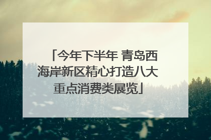 今年下半年 青岛西海岸新区精心打造八大重点消费类展览