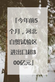 今年前5个月，河北自贸试验区进出口超300亿元