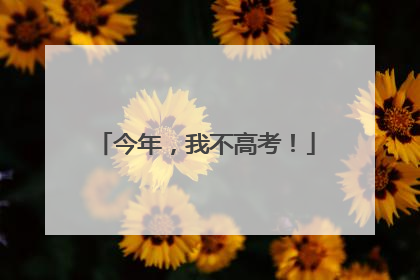 今年，我不高考！