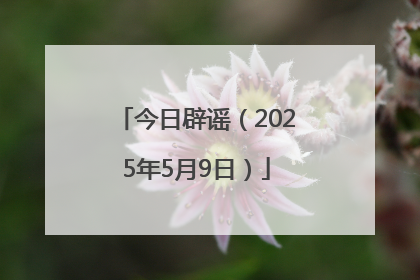 今日辟谣（2025年5月9日）