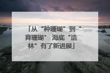 从“种珊瑚”到“育珊瑚” 海底“造林”有了新进展