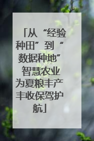 从“经验种田”到“数据种地” 智慧农业为夏粮丰产丰收保驾护航