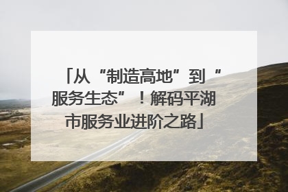 从“制造高地”到“服务生态”！解码平湖市服务业进阶之路