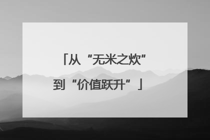 从“无米之炊”到“价值跃升”