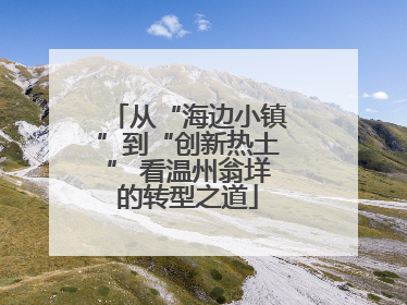 从“海边小镇”到“创新热土” 看温州翁垟的转型之道