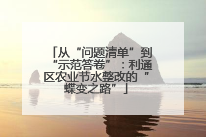 从“问题清单”到“示范答卷”：利通区农业节水整改的“蝶变之路”