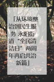 从环境整治到民生服务 永阳街道“全民清洁日”两周年再启共治新篇