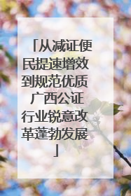 从减证便民提速增效到规范优质 广西公证行业锐意改革蓬勃发展
