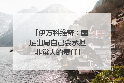 伊万科维奇：国足出局自己会承担非常大的责任