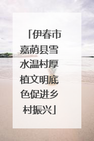 伊春市嘉荫县雪水温村厚植文明底色促进乡村振兴
