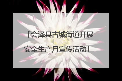 会泽县古城街道开展安全生产月宣传活动