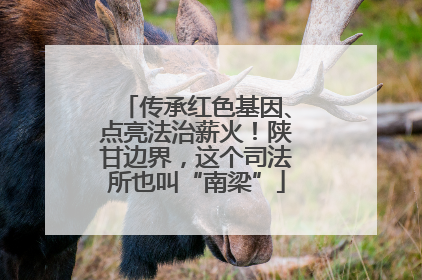 传承红色基因、点亮法治薪火！陕甘边界，这个司法所也叫“南梁”