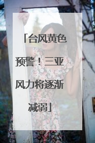 台风黄色预警！三亚风力将逐渐减弱