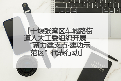 十堰张湾区车城路街道人大工委组织开展 “聚力建支点·建功示范区”代表行动