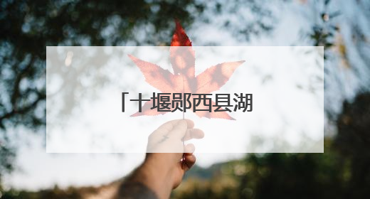 十堰郧西县湖北口回族乡念活“林”字经