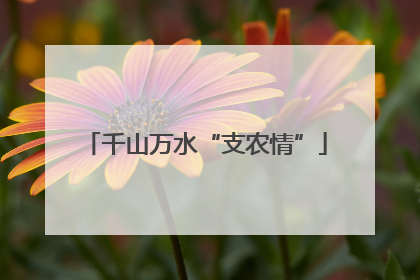 千山万水“支农情”