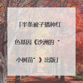 半条被子播种红色基因《沙洲的“小树苗”》出版