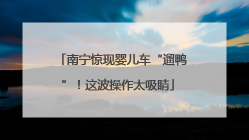 南宁惊现婴儿车“遛鸭”！这波操作太吸睛