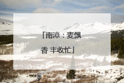 南漳：麦飘香 丰收忙