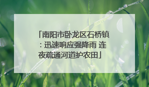 南阳市卧龙区石桥镇：迅速响应强降雨 连夜疏通河道护农田