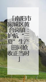 南阳市宛城区黄台岗镇：护航“三夏”生产 田间抢收正当时