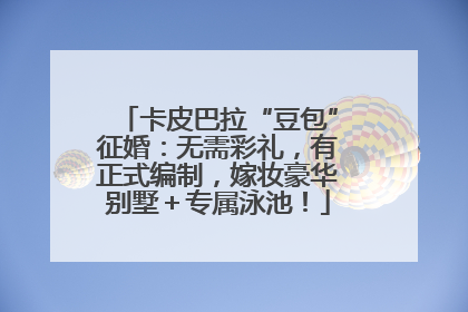 卡皮巴拉“豆包”征婚：无需彩礼，有正式编制，嫁妆豪华别墅＋专属泳池！