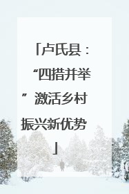 卢氏县：“四措并举”激活乡村振兴新优势