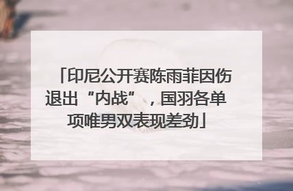 印尼公开赛陈雨菲因伤退出“内战”，国羽各单项唯男双表现差劲