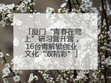 厦门“青春在鹭上”研习营开营，16台青解锁创业文化“双精彩”