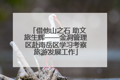 借他山之石 助文旅生辉——金洞管理区赴南岳区学习考察旅游发展工作