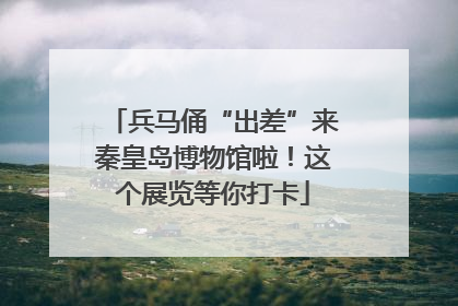 兵马俑“出差”来秦皇岛博物馆啦！这个展览等你打卡