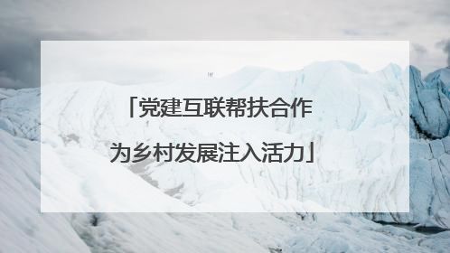 党建互联帮扶合作 为乡村发展注入活力