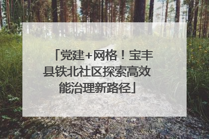 党建+网格！宝丰县铁北社区探索高效能治理新路径