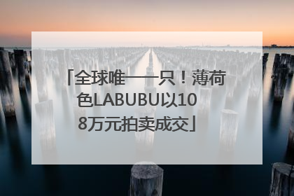 全球唯一一只！薄荷色LABUBU以108万元拍卖成交