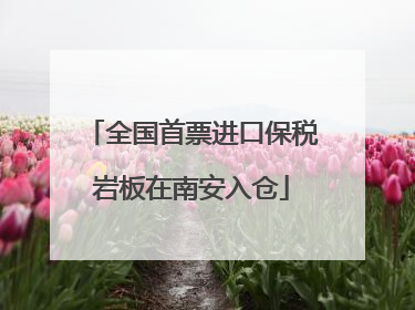 全国首票进口保税岩板在南安入仓