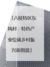 六枝特区东风村：特色产业绘就乡村振兴新图景