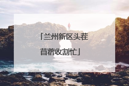 兰州新区头茬苜蓿收割忙