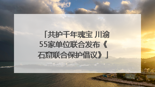 共护千年瑰宝 川渝55家单位联合发布《石窟联合保护倡议》